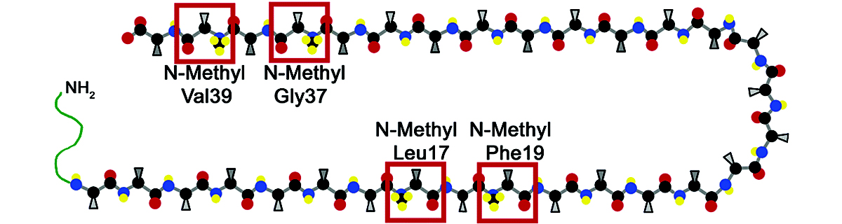 Authorized source banner showing cyclic peptide research